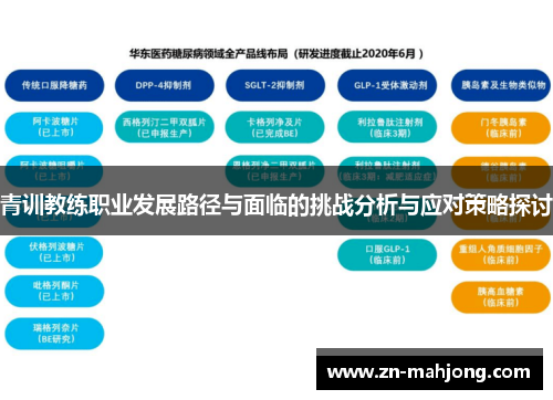 青训教练职业发展路径与面临的挑战分析与应对策略探讨